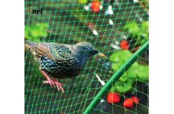 China Green Bird Proof Net 3m / 5m Polyethylene Bird Netting High Durability supplier