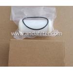 High Quality CNG Filter GAS FILTER 53404.4411038 for sale