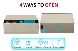 China Fireproof Protection Built-In Jewelry Safe Box Touchscreen Password  Smart Control Panel supplier