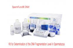 China Professional Sperm DNA Fragmentation Test Kit 40T/Kit BRED-002 Easy Operate supplier