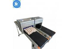 China Advanced Design Automatic Batch Coding Machine Whole Tray Egg Inkjet Printer supplier