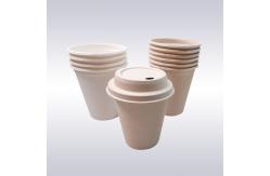 China Multiscene Biodegradable Coffee Cups supplier