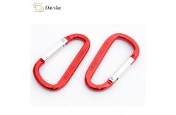 China Snap Quick Hang Hooks Keychain Metal Accessories , D Ring Shape Locking Carabiners supplier