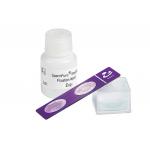 Blood Cell Morphology Test Pre Stained Slides for sale