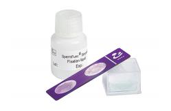 China Blood Cell Morphology Test Pre Stained Slides supplier