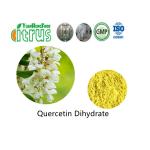 China Pure Quercetin Dihydrate Powder 95.0% HPLC CAS 6151-25-3 for sale