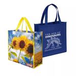 Eco Friendly Recyclable Non Woven Pp Bags Reusable With Strong Handles for sale