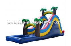 China inflatable water slide, giant outdoor inflatable slide, commercial waterslide for kids supplier