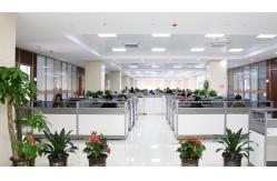 China Speed Gate Turnstile manufacturer