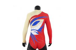 China Stretchable Long Sleeve Gymnastics Leotards For Girls Sublimation Printing supplier