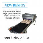 High Performace Egg Jet Printer With Computer Control Dedicated Shuttle Conveyor for sale