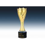 18K Gold Plated Metal Cup Trophy Custom With Star Pattern For League Cup for sale