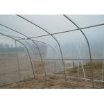 Efficient Single Span Greenhouse Strong Adaptability Suitable For Cultivation
