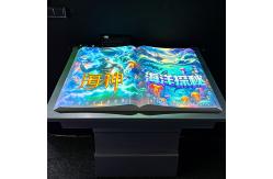 China Original Manufacturer Interactive Projection Magic Flip Book AR Soft Hard Equipment supplier