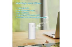 China HOMEFISH 240V Waterless Aroma Diffuser 130ml Wall Plug In supplier