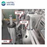 Automatic 150pcs/Min 4 Side Sealing Mask Horizontal Packing Machine