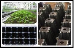 China Strength Plant Growing Trays plant generation tray plastic growing trays with 32 cells supplier