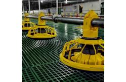 China Chicken Drinking Automatic Pan Feeding System For Poultry Farming Equipment Machine supplier