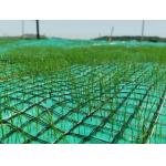 China Nonwoven and Geogrid Reinforced Coconut Coir Mat for Vegetation Establishment for sale