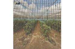 China White Anti Hail Net Customized Garden Windbreak Netting 30gsm - 90gsm supplier