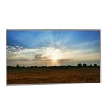 M215HGE-L23  Lcd Monitors 21.5 inch  1920x1080 TFT LCD Panel Screen Display for sale