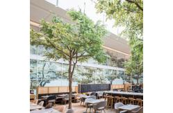 China 2M Height Artificial Landscape Trees Ficus Plant Store Ornaments supplier