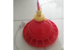 China 38cm Plasson Automatic Broiler Drinker And Feeder For Poultry supplier