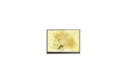 China 6.5 inch F066A10FHD3T-6T2 720*1600 LCD Screen Panel supplier