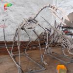Museum Exhibition Resin Dinosaur Skeleton Quetzalcoatlus Skeleton Customizable for sale