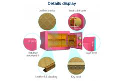 China H250mm Solid Bolts Home Safe Box Fingerprint Lock With Hammer Surface treatment supplier