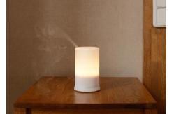 China Home Electric Aroma Diffuser Machine Aroma Mist Diffuser 100ml supplier