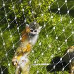 316 Stainless Steel Wire Rope Netting For Zoo Aviary Enclosure Mesh