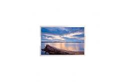 China 24.5 inch DV245QHB-N30  LCD display 2560*1440 LCD Screen supplier