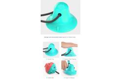 China Dog Suction Cup Interactive Pet Toys Molar Anti Bite Training 400mm ODM supplier