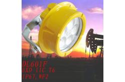 China 2000lumens 5pcs CREE 20W LED Explosion Proof Light For heavy machine supplier