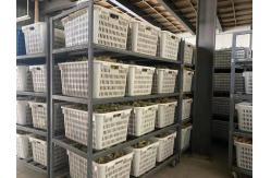 China Bagasse Cutlery manufacturer