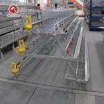 ISO9001 Baby Chicken Cage For 1 Day Old Chick Automatic Feeding System for sale
