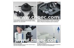 China Laboratory Compound Optical Microscope with Infinity Trinocular Head supplier