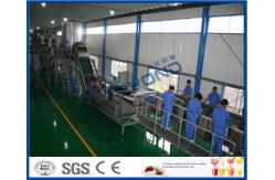 China Fruit Juice Processing Machines , Apple Processing Machine For Juice Making supplier