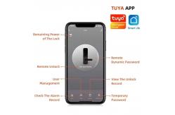 China Tuya TTlock Waterproof Door Lock IP65 Advanced Intelligent Door Lock supplier