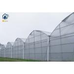 Large Scale Hydroponics Multi Span Greenhouse For Modern Farmers for sale