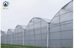 China Large Scale Hydroponics Multi Span Greenhouse For Modern Farmers supplier