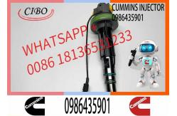 China Fuel Injector Assembly 0986435904 0986435901 F00BJ00006 FOOBJ00007 0986435903 For Qsk19 Engine supplier