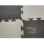 EVA High Density Taekwondo Floor Mat Tatami Judo Karate Mat for sale