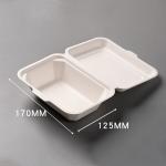 Takeaway Bagasse Lunch Box Sugarcane Disposable Containers 600ml for sale