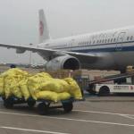 Flight Ships From Shanghai To Australia Door To Door FCL Shipping Agency Ups Ddp Service for sale