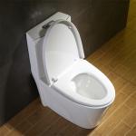 One Piece Elongated White CUPC Toilet Bowl Siphon Flush Powerful for sale