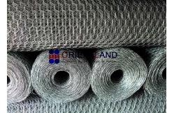 China Galvanized Hexagonal 150 Feet Chicken Wire Poultry Netting supplier