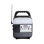 12.8V 10000mah Solar Home Lighting System Sustainable Lighting Solution SRE-818 for sale