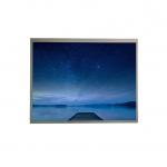 BOE EV121X0M-N10 12.1 Inch TFT LCD Panel With 4:3 Aspect Ratio 1024 X 768 Resolution for sale